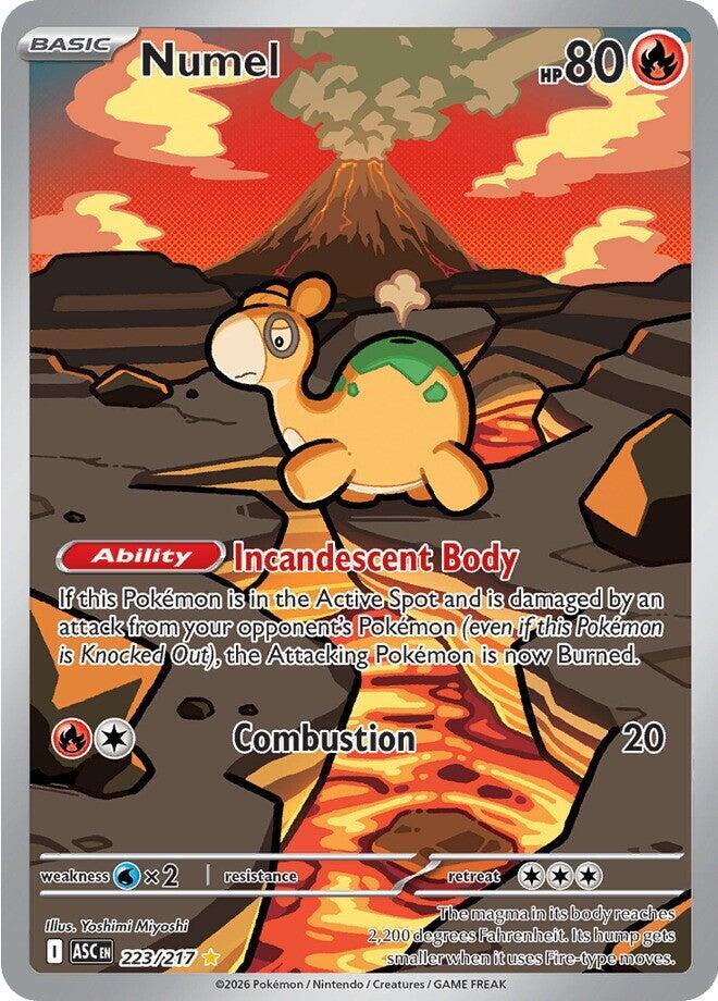 Pokemon TCG Singles: Numel 223/217