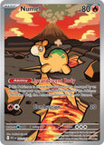 Pokemon TCG Singles: Numel 223/217